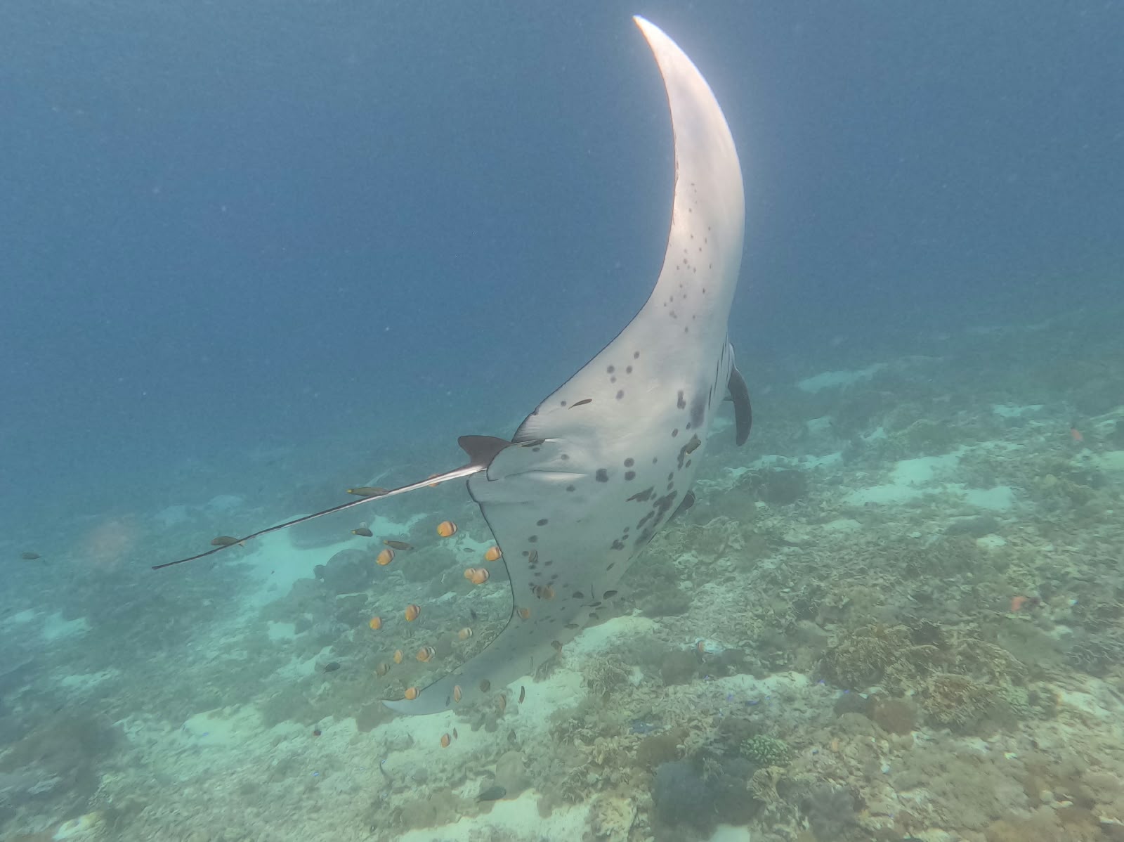 Komodo National Park & Padar Bay - photo 2