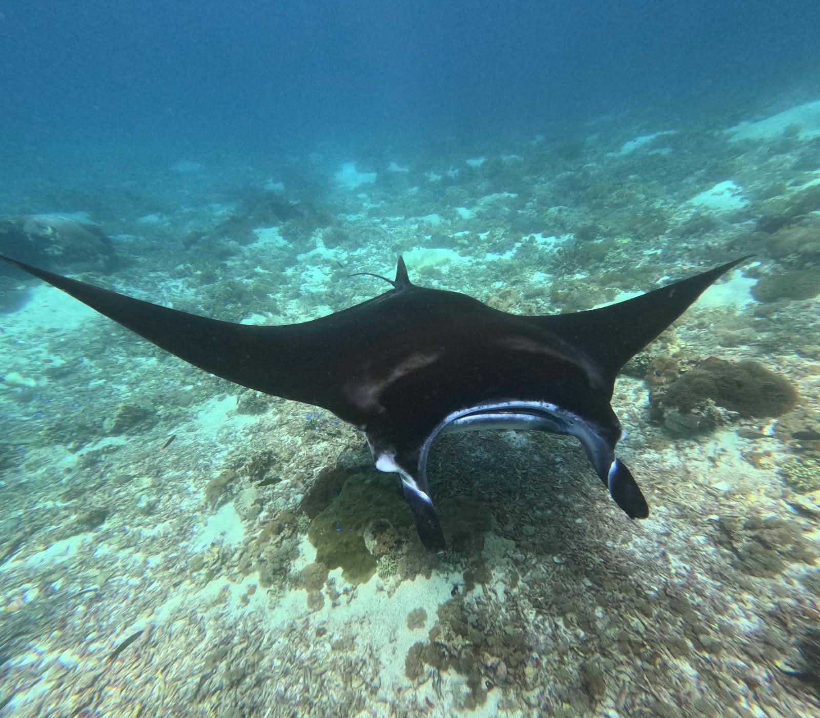 Komodo National Park & Padar Bay - photo 14