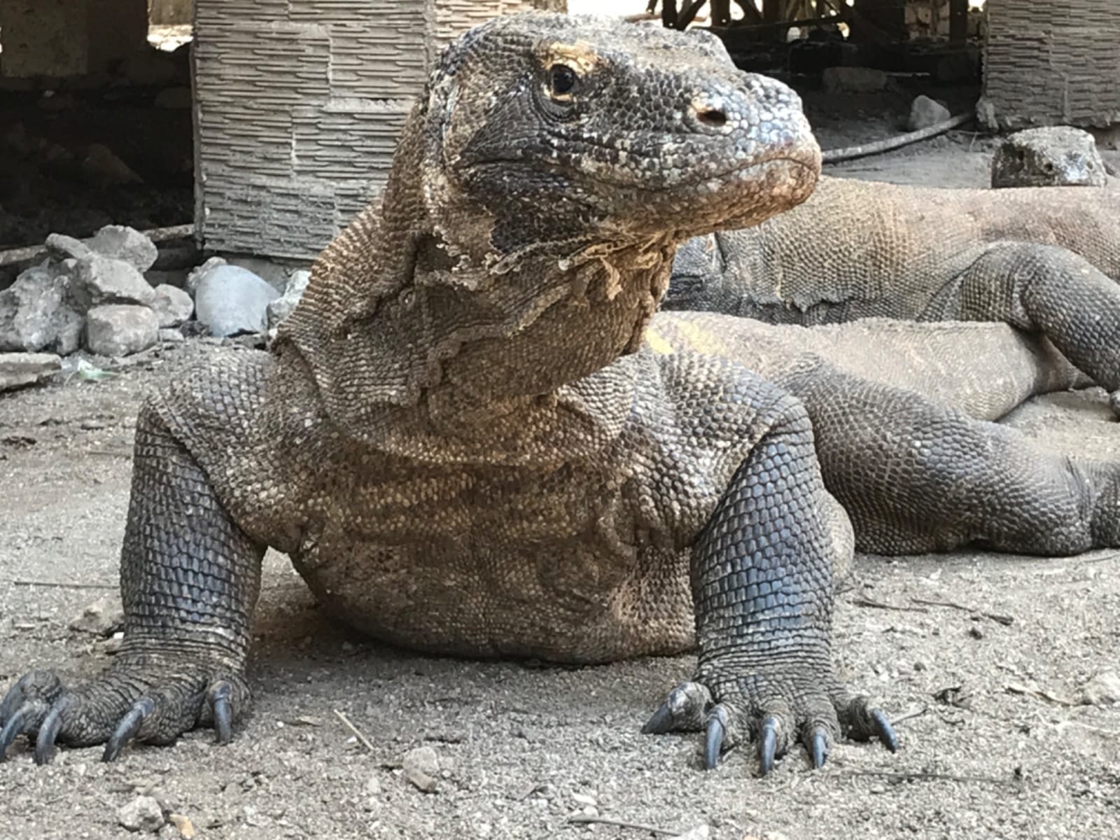 Komodo National Park & Padar Bay - photo 17