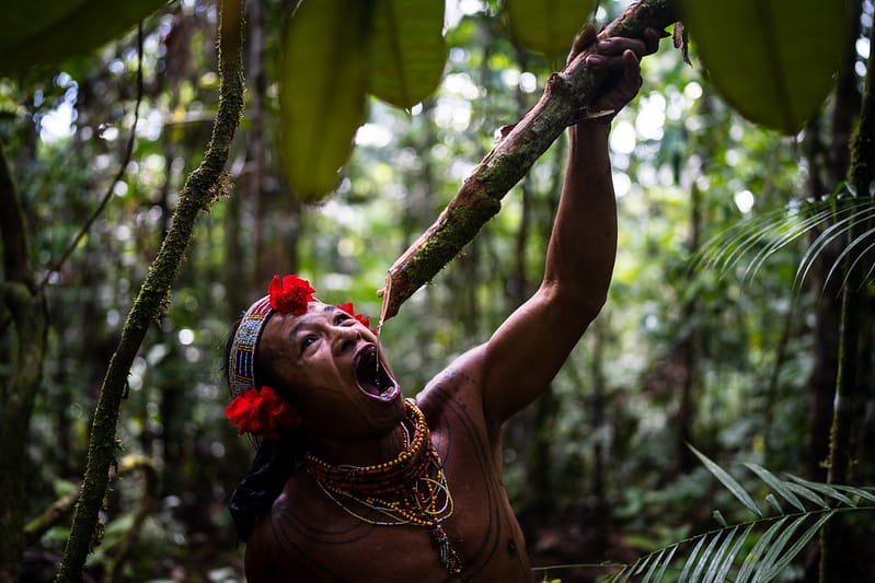 Mentawai Tribe: Siberut Rainforest Journey
