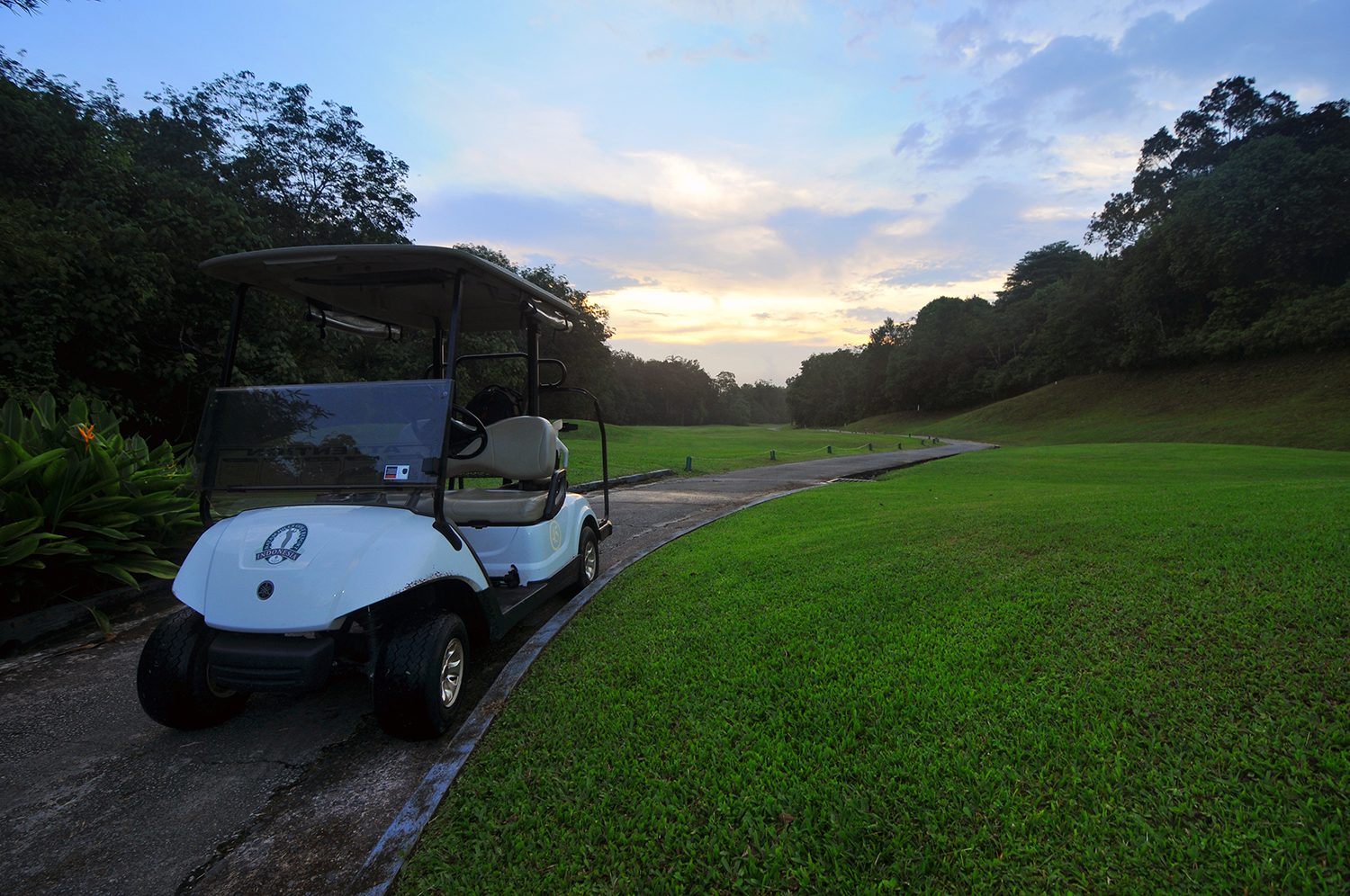 Golf Action