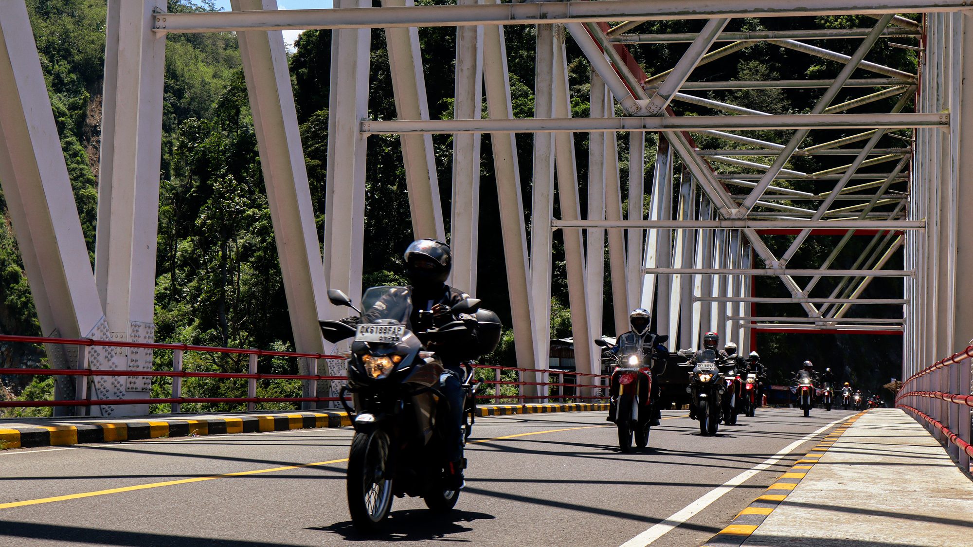 Backroads Through Bamboo Forests